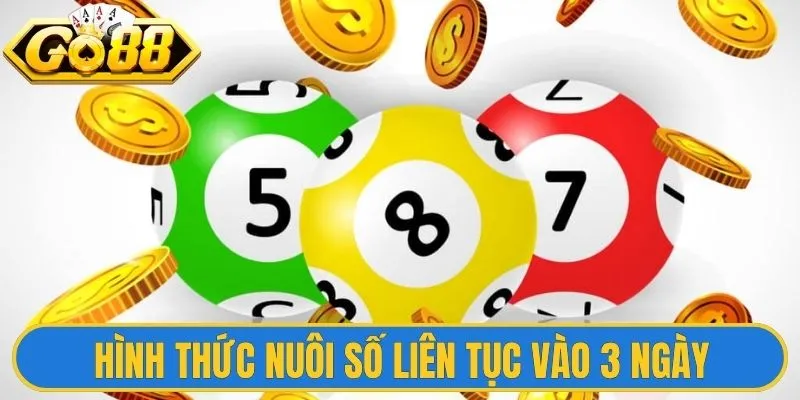 Hình thức nuôi số liên tục vào 3 ngày